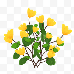 黄色的花手绘图片_手绘插画鲜花黄花
