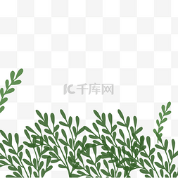 夏季小植物图片_手绘小清新小草插画