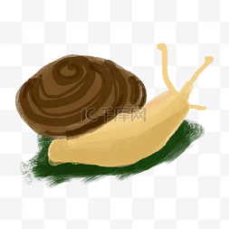 爬行的蜗牛图片_ 缓慢爬行的蜗牛 