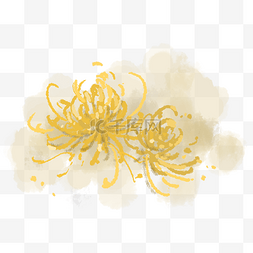 黄色水彩花朵图片_菊花重阳节水彩海报装饰