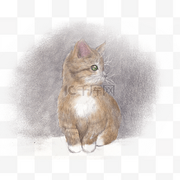 手绘素描小猫咪PNG素材