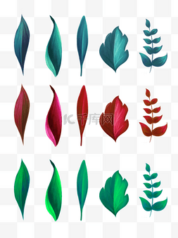 文艺叶子手绘插画图片_手绘植物叶子插画可商用元素