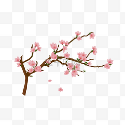 樱花树图片_春季樱花树