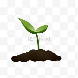 植物土壤种子图片_刚发芽的植物插画