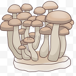 菌菇美食种植