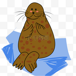 手绘动物海豹插画
