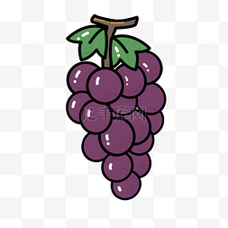 紫色手绘线稿葡萄元素