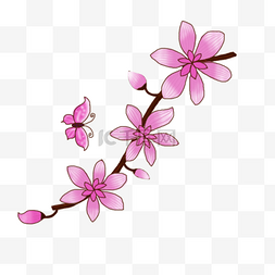 七夕情人节手绘粉色花卉装饰