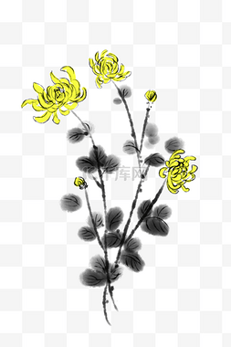 手绘艺术花卉元素图片_手绘黄菊花卉水墨插画