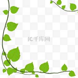 春季绿色小清新图片_爬山虎绿叶装饰叶