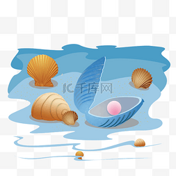 筛子里的海贝图片_海底装饰海贝海螺手绘