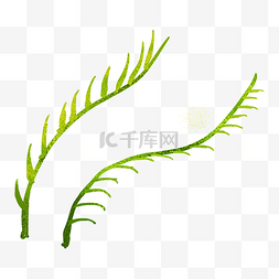 手绘舞动素材图片_水草植物绿色装饰图案
