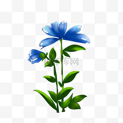 蓝色花朵叶子