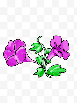 紫色牵牛花植物插画可商用元素