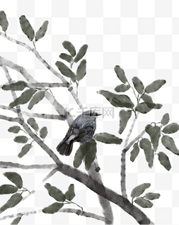 鸟工笔画图片_水墨鸟和树枝