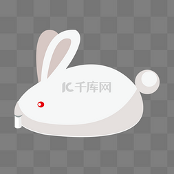白色的家禽小兔子插画