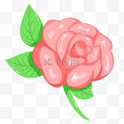 玫瑰花精美图片_漂亮的玫瑰花手绘插画
