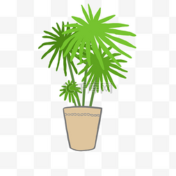 棕榈树盆栽PNG