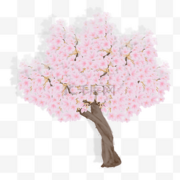 樱花树PNG素材