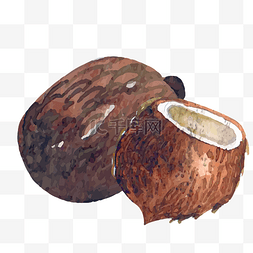 矢量卡通手绘椰子水果素材