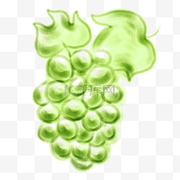 中国风水彩绿葡萄水果行业糖果香