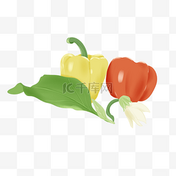 蔬菜彩色菜椒