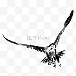 飞翔插图图片_手绘展翅飞翔的老鹰