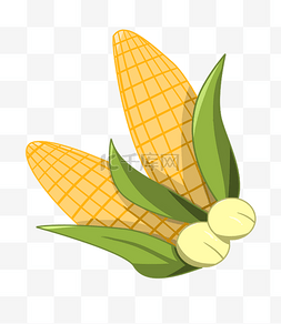 黄色玉米棒图片_黄色嫩玉米粮食插画