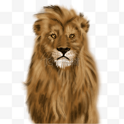 可爱狮子手绘插画psd
