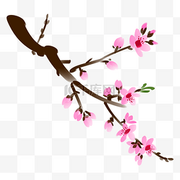 中国彩色图片_手绘中国风桃花树