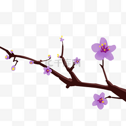 蓝色花朵春天的花枝