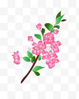 中国风花朵背景图片_卡通免扣粉色花朵