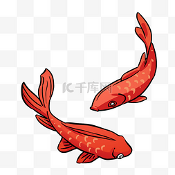 中国风红色鲤鱼手绘