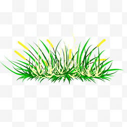 黄色绿色春天的草丛