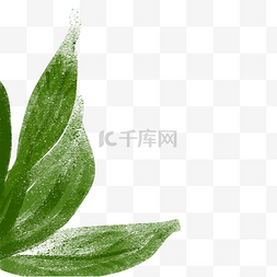 手绘植物叶片图片_绿色植物树叶元素