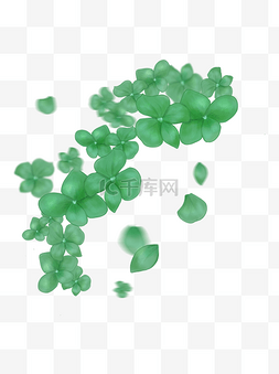 漂浮的花瓣图片_漂浮的绿色绣球花花瓣盛开的绣球