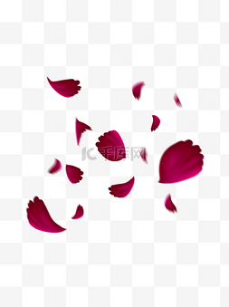 情人节玫瑰海报图片_飘浮素材飘落的玫瑰花瓣飘浮花瓣