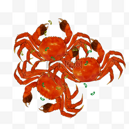 煮螃蟹图片_海鲜螃蟹大螃蟹插画