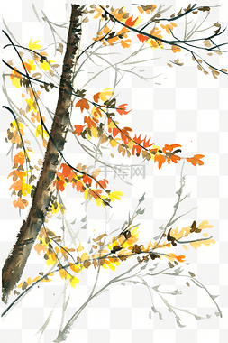意境彩色图片_秋天的树水彩画PNG免抠素材