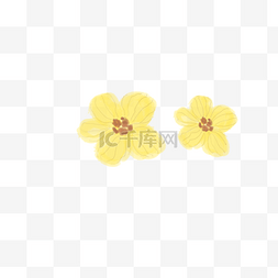 可爱花瓣小花素材图片_黄色条纹花朵PNG