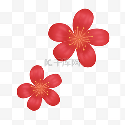 红色花卉装饰图片_红色绽放飘落小花