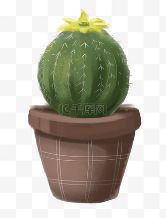 仙人掌插画边框个人vip和企业vip免费下载免抠元素手绘卡通花盆栽