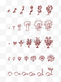生长过程图片_简笔画手绘植物生长过程