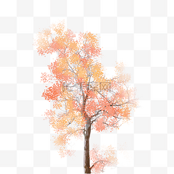 秋天水彩树木免费下载