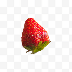 实拍绿叶素材图片_一颗草莓实拍免抠