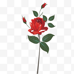 玫瑰花朵图片_一支卡通红色玫瑰花朵免抠图