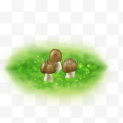 绿色自然树林图片_春天手绘蘑菇插画