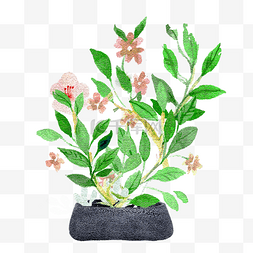 植被花纹图片_手绘噪点插画风格水彩植物水果树