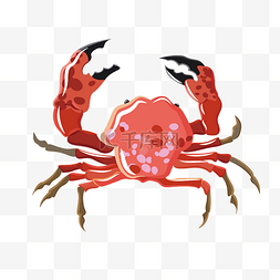 红色的螃蟹手绘插画