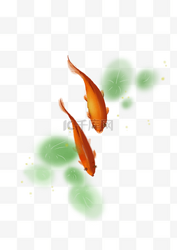 游动的鱼动图图片_中国水墨红色锦鲤